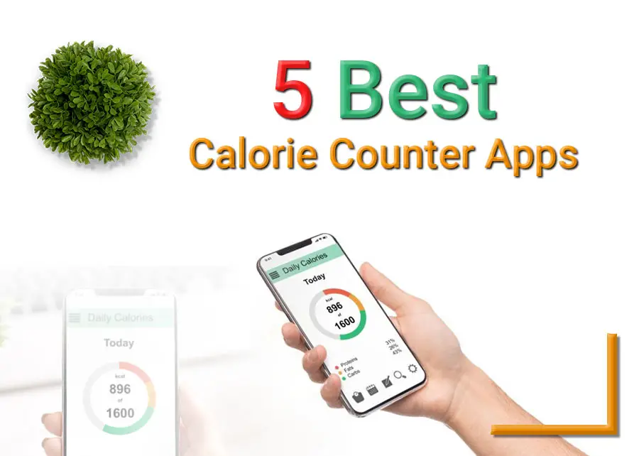 5-Best-Calorie-Counter-Apps
