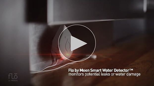 Flo by Moen Smart Water Detector Battery Replacement