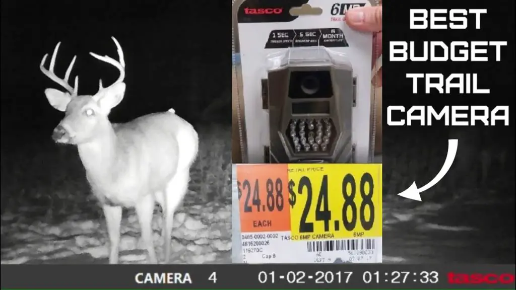 How to Set Up Tasco Trail Camera