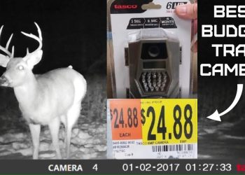 How to Set Up Tasco Trail Camera