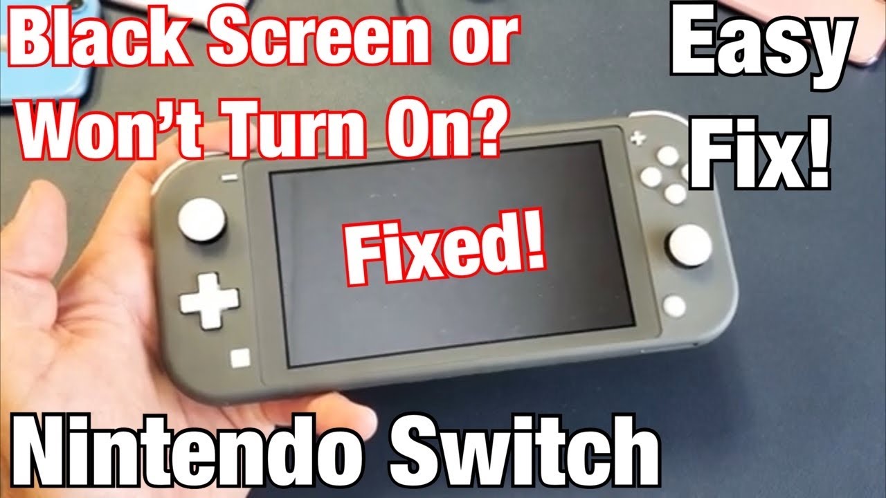 Nintendo Switch Lite Black Screen But Has Sound