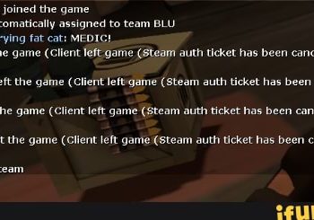 Steam Auth Ticket Has Been Canceled