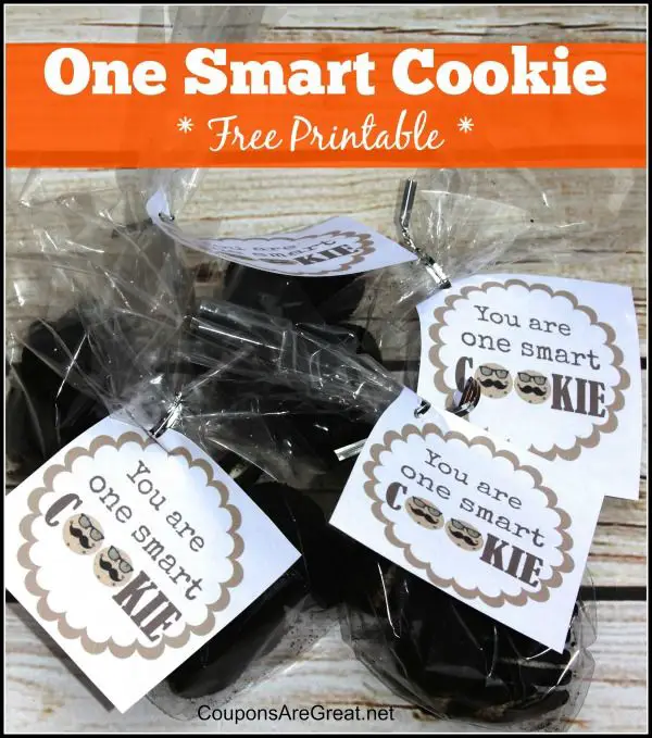 You are One Smart Cookie Free Printable